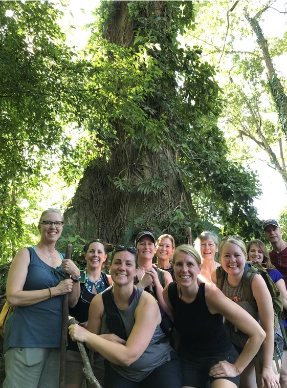 Wellness Retreat Experience